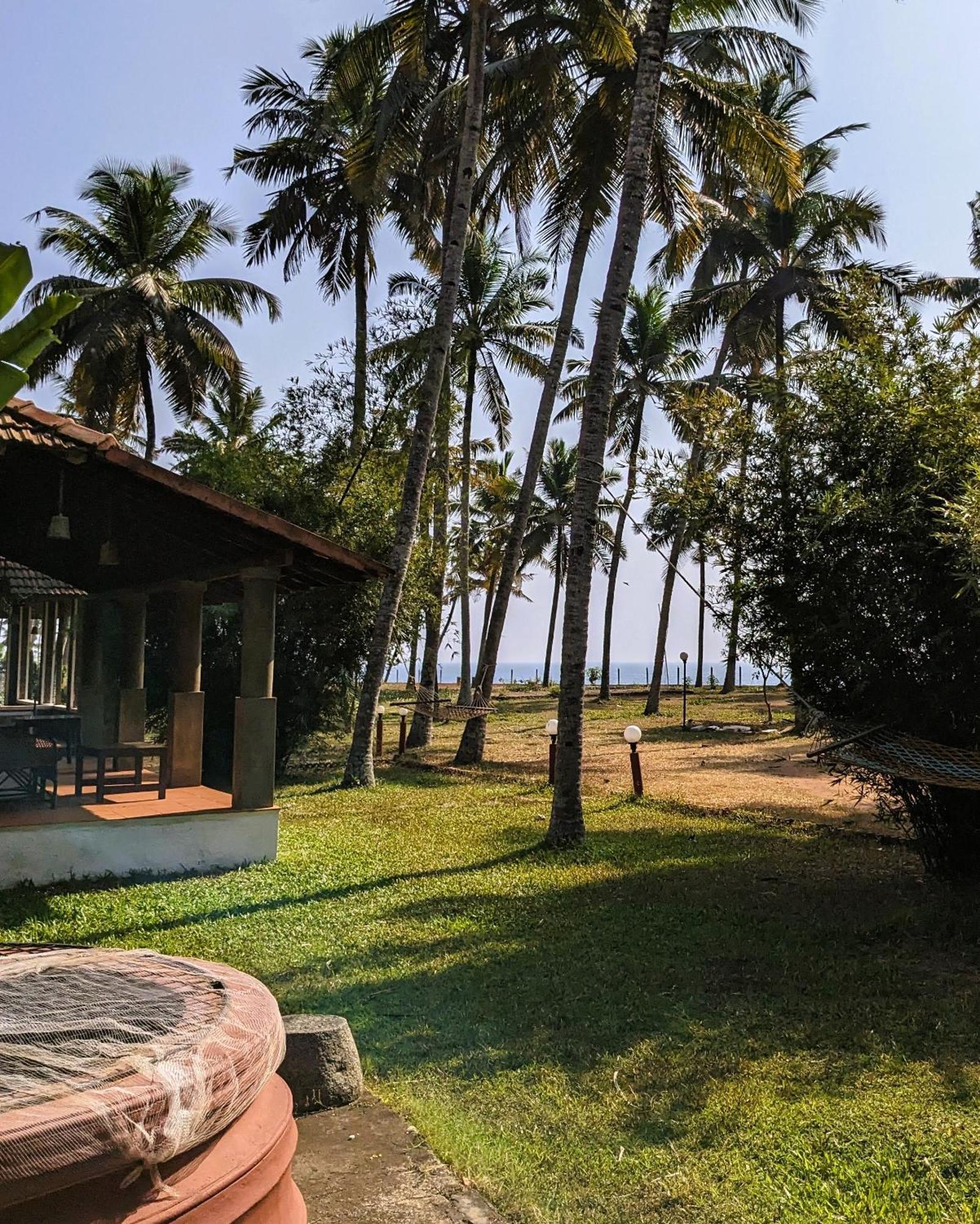 Baycliff Cottages วาร์คาลา ภายนอก รูปภาพ